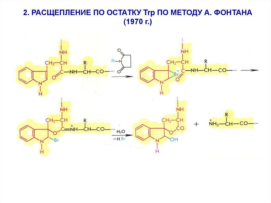 Расщепление 2 4 4 6. Бромциановый метод расщепления полипептидных цепей.