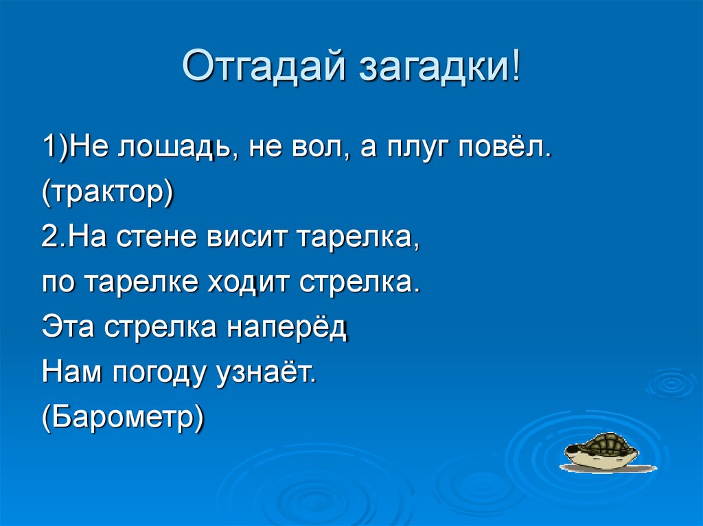 Отгадай загадки!