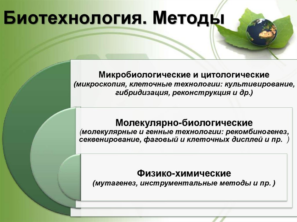 Понятие о биотехнологии 8 класс урок технологии презентация