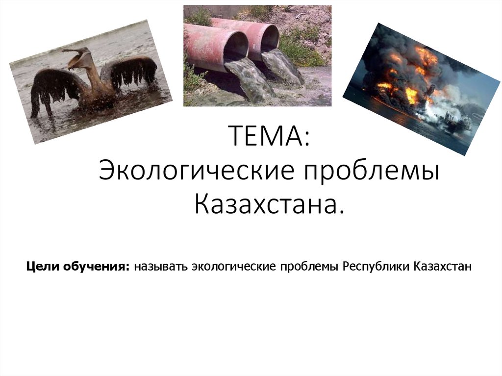 ТЕМА: Экологические проблемы Казахстана.