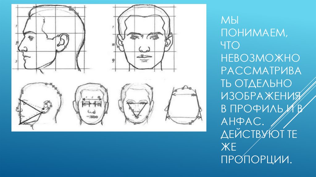 Анфас и профиль. Портрет лопоухого анфас. Положение анфас. Обрубовка головы схема.
