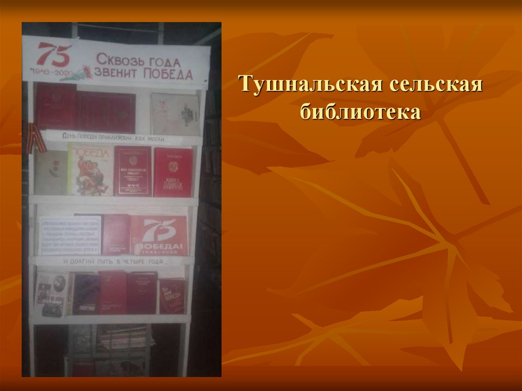 Тушнальская сельская библиотека