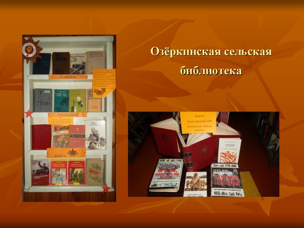 Озёркинская сельская библиотека