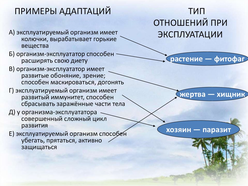 Группы экологической адаптации. Примеры адаптации. Экологические адаптации примеры. Примеры этологических адаптаций.