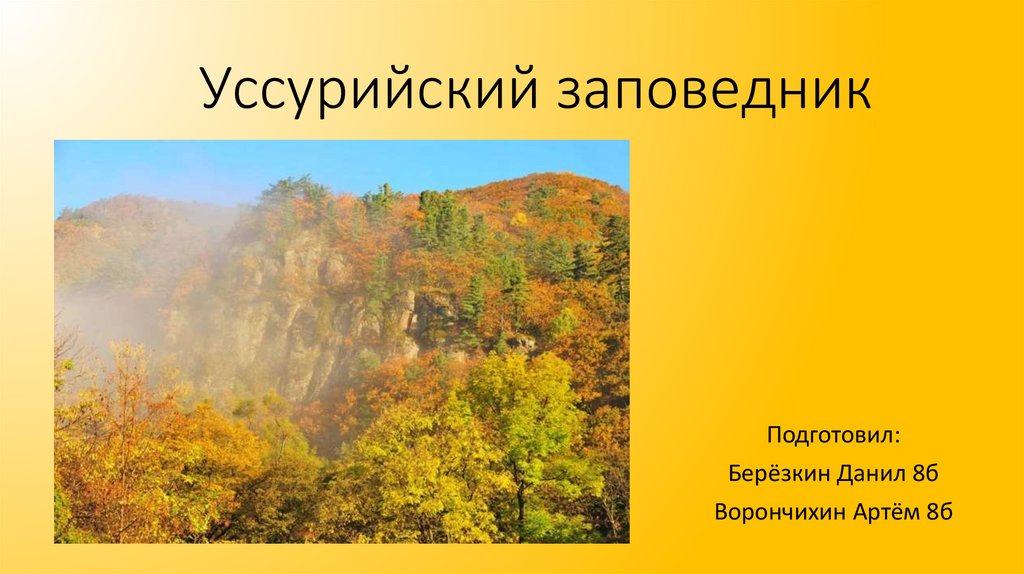 Уссурийский заповедник презентация 8 класс