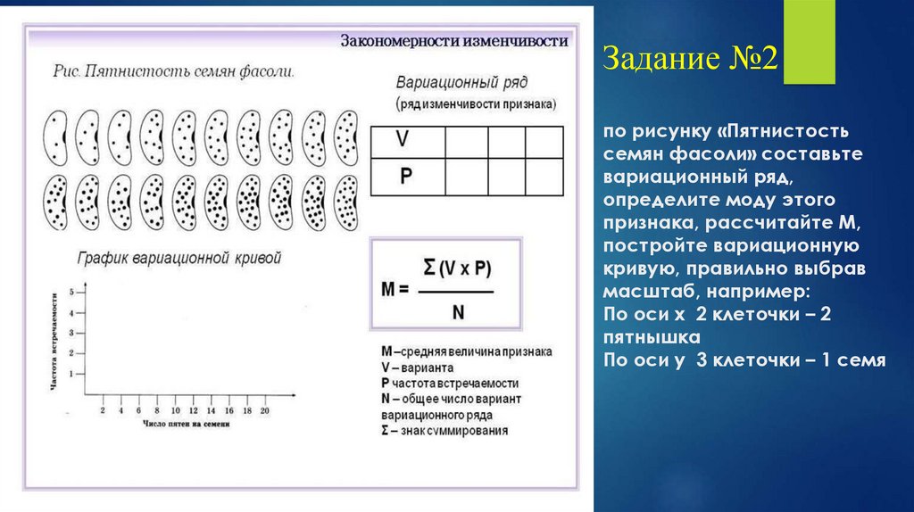 Рассмотрите рисунок составьте вариационную кривую распределения числа пятен на семенах фасоли 142