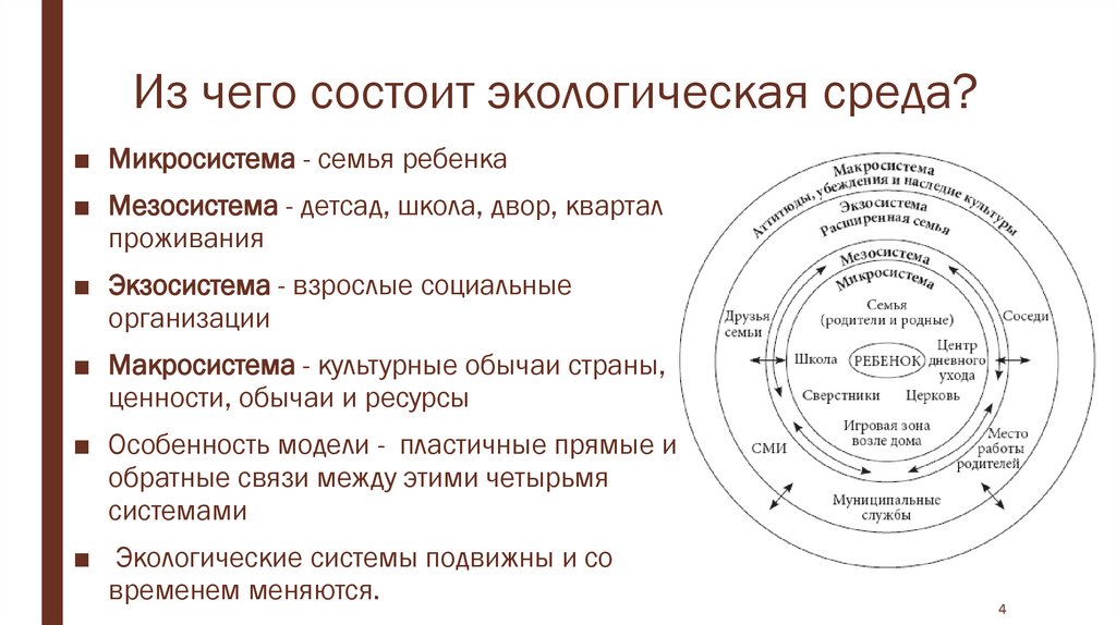 Из чего состоит ребенок