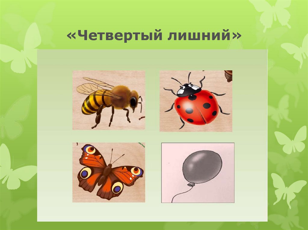 Дидактические игры насекомые презентация