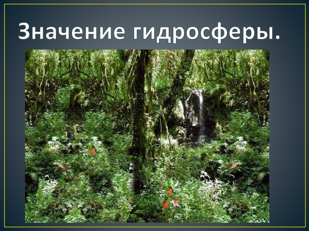 Значение гидросферы.