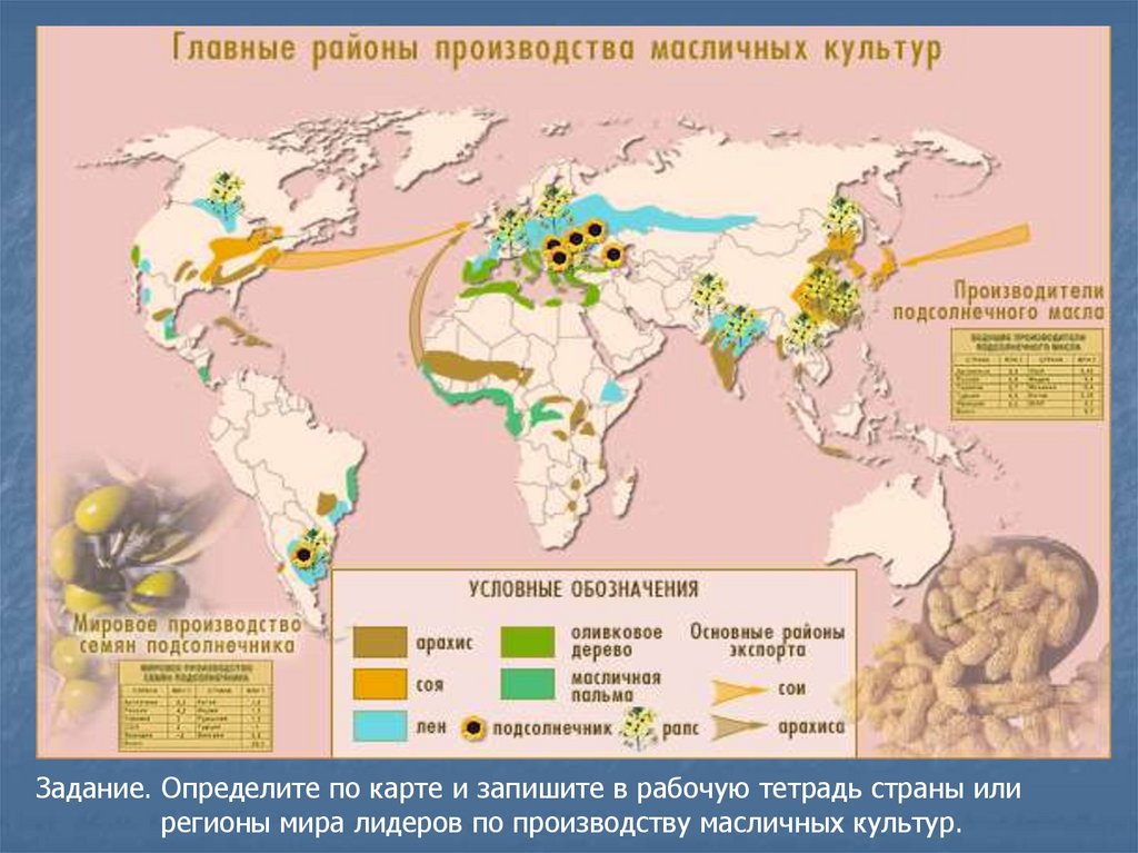 Схема география сельского хозяйства