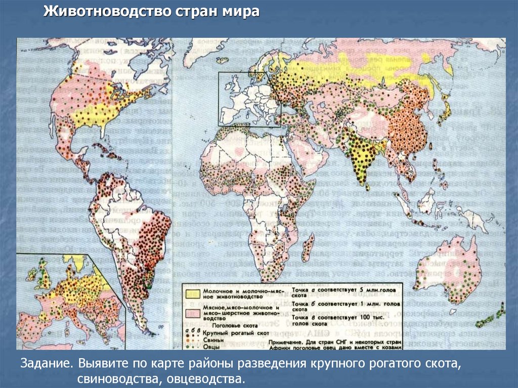 Отрасли животноводства страны. Сельское хозяйство мира карта 10 класс. Карта специализации сельского хозяйства мира. Карта сельскохозяйственных культур мира. Животноводство в мире карта.