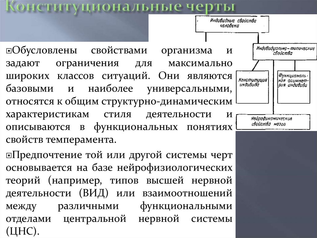 Конституциональные черты