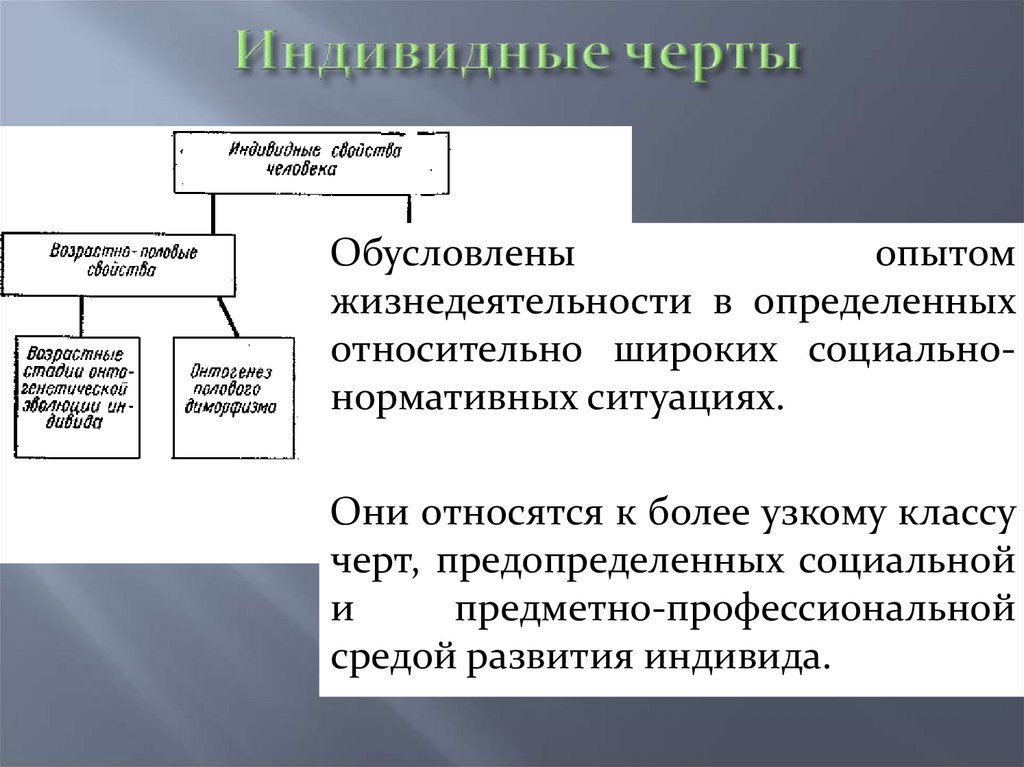 Индивидные свойства человека схема