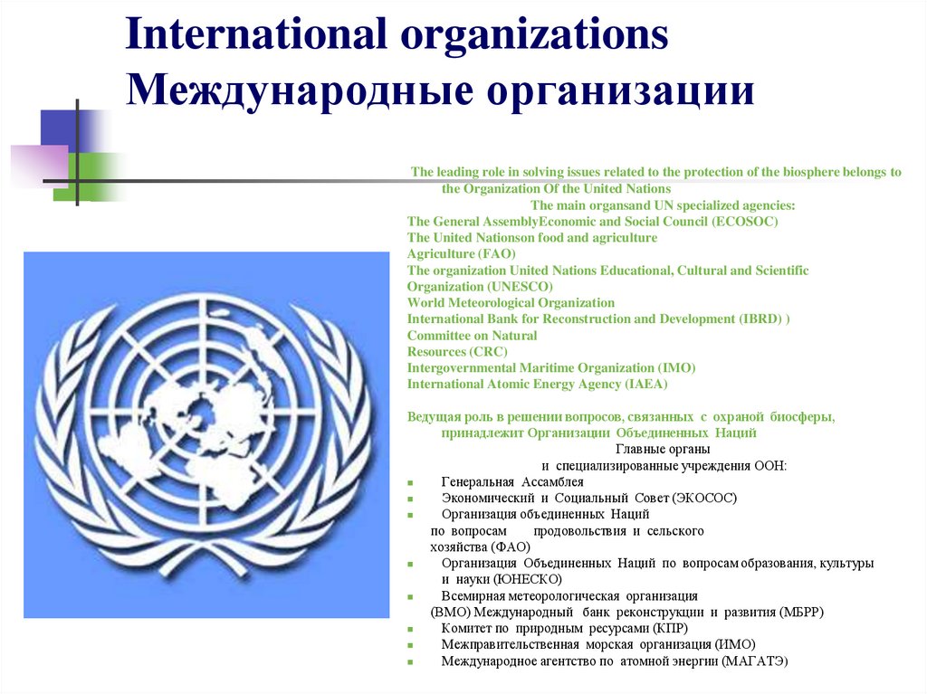 Отрасли международной организации