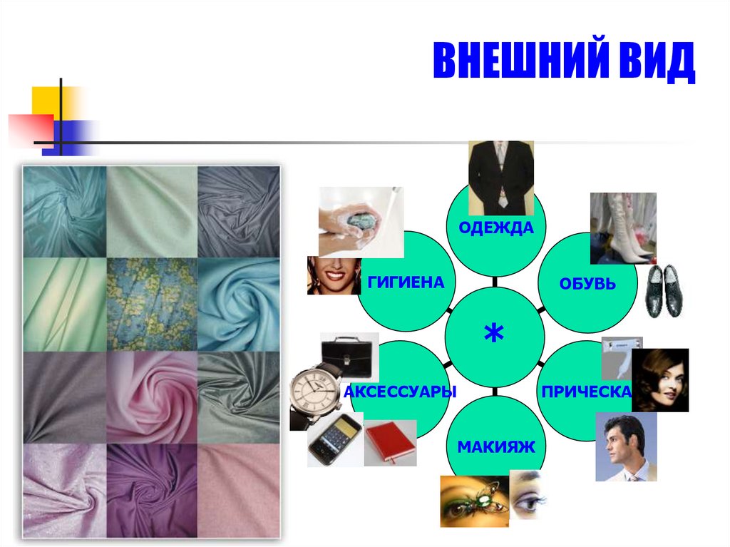 ВНЕШНИЙ ВИД