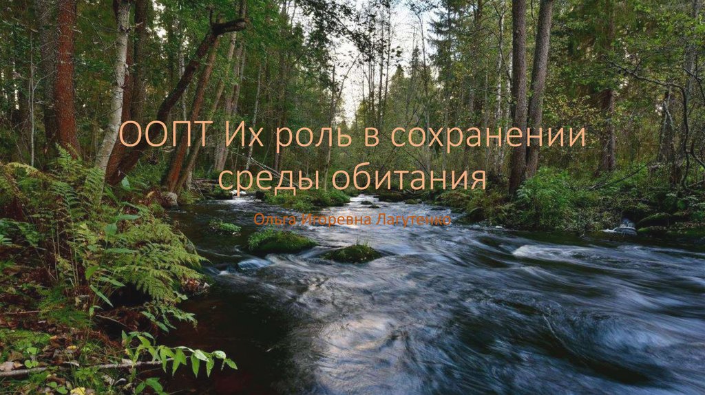 Сохранить среду