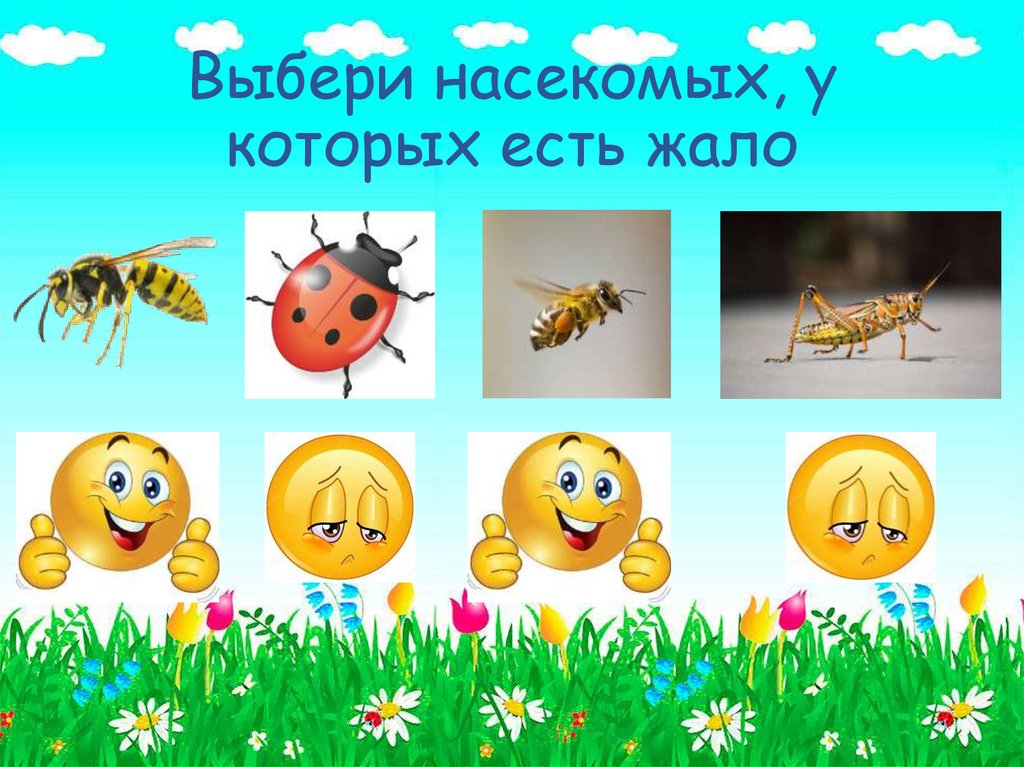 Выбери насекомых