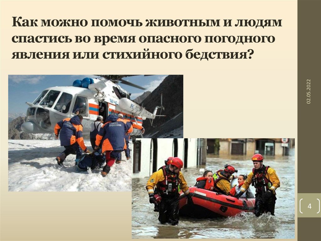 Как можно помочь животным и людям спастись во время опасного погодного явления или стихийного бедствия?