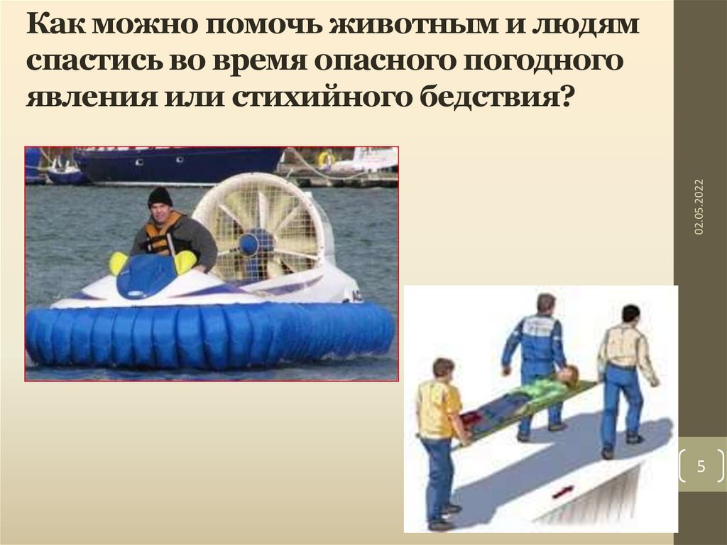 Как можно помочь животным и людям спастись во время опасного погодного явления или стихийного бедствия?