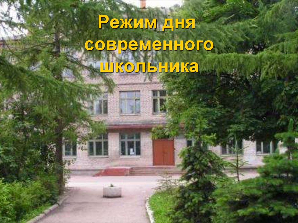 Псковской область школу 1