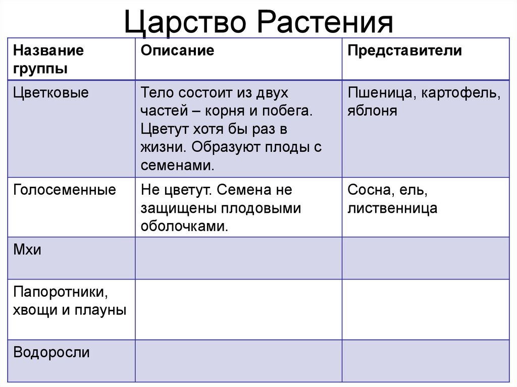 Характеристика растений 5 класс. Таблица по биологии 5 класс царство растений. Характеристика отделов царства растений. Царство растения отдел цветковые. Группы растений таблица.