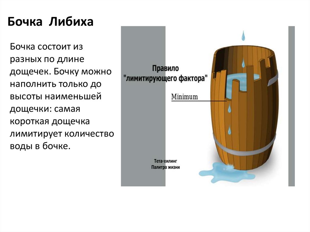 На рисунке изображен садовый участок необходимо наполнить водой бочку до самого края для этого