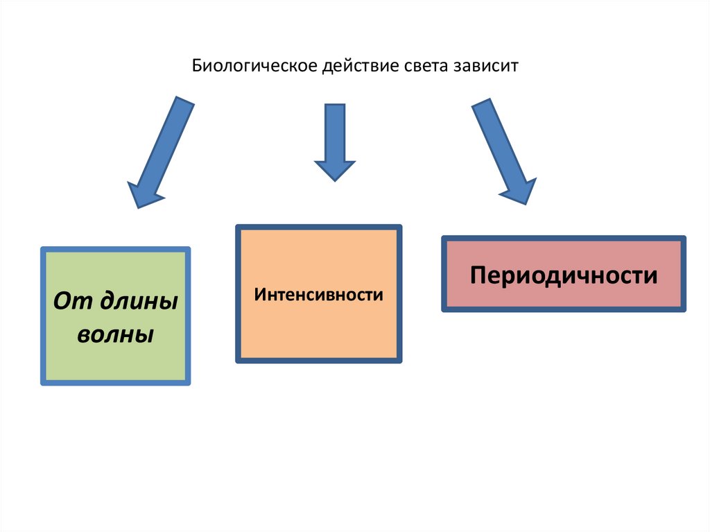 Биологическое действие света