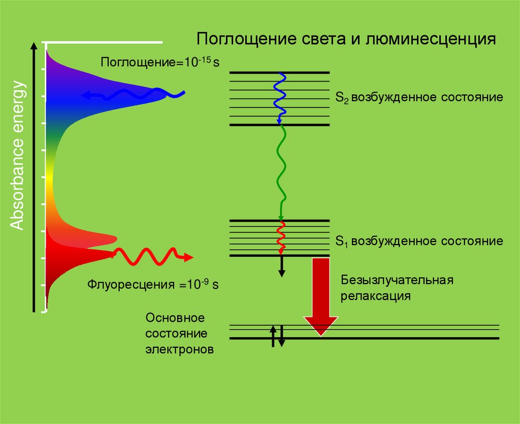 Абсорбция света