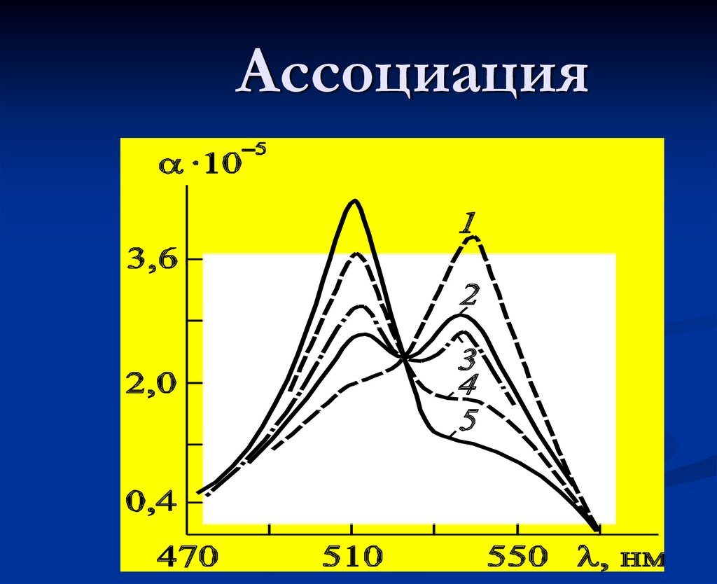Ассоциация