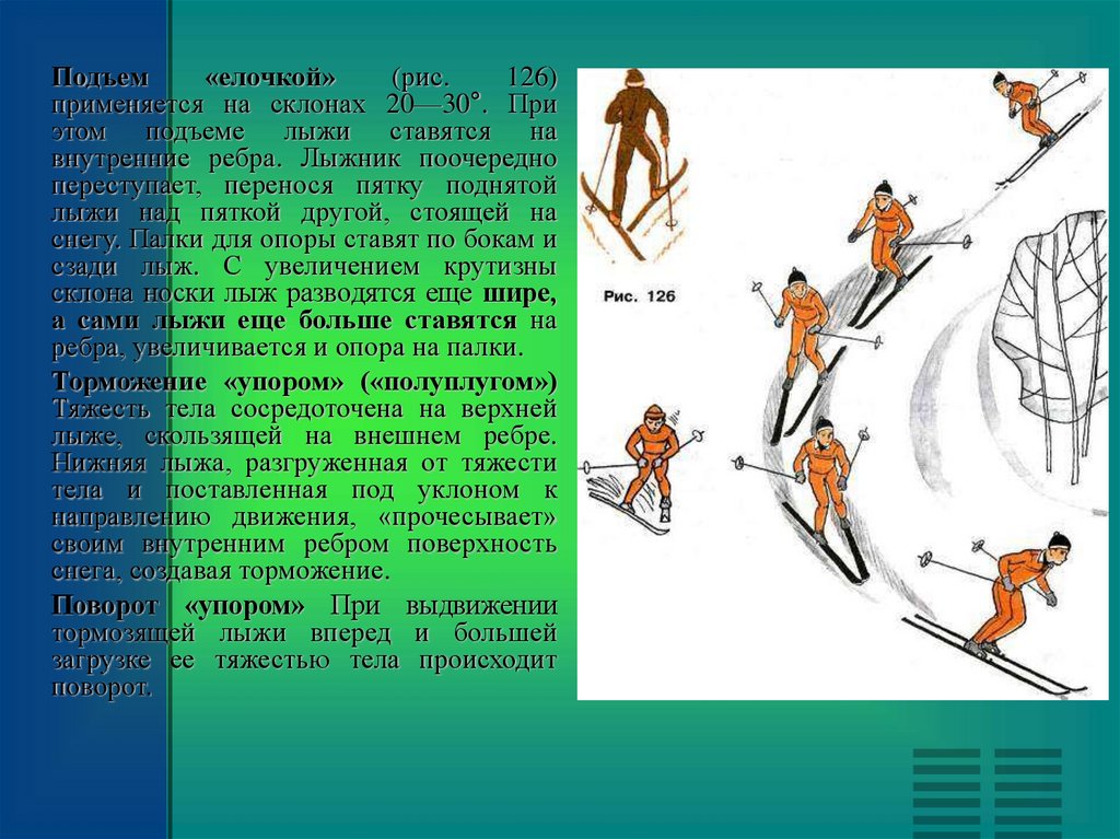 Где ошибка в технике подъема елочкой. Подъем елочкой. Подъем елочкой на лыжах. Подъём ёлочкой на лыжах техника. Лыжная подготовка подъем ёлочкой.