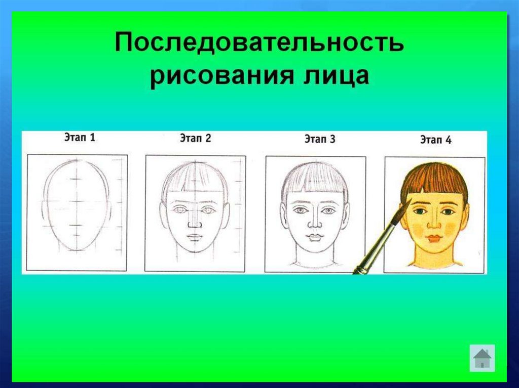 Лицо россии презентация. Лицо рисунок. Этапы рисования портрета. Лицо человека рисунок. Уроки по рисованию лица.