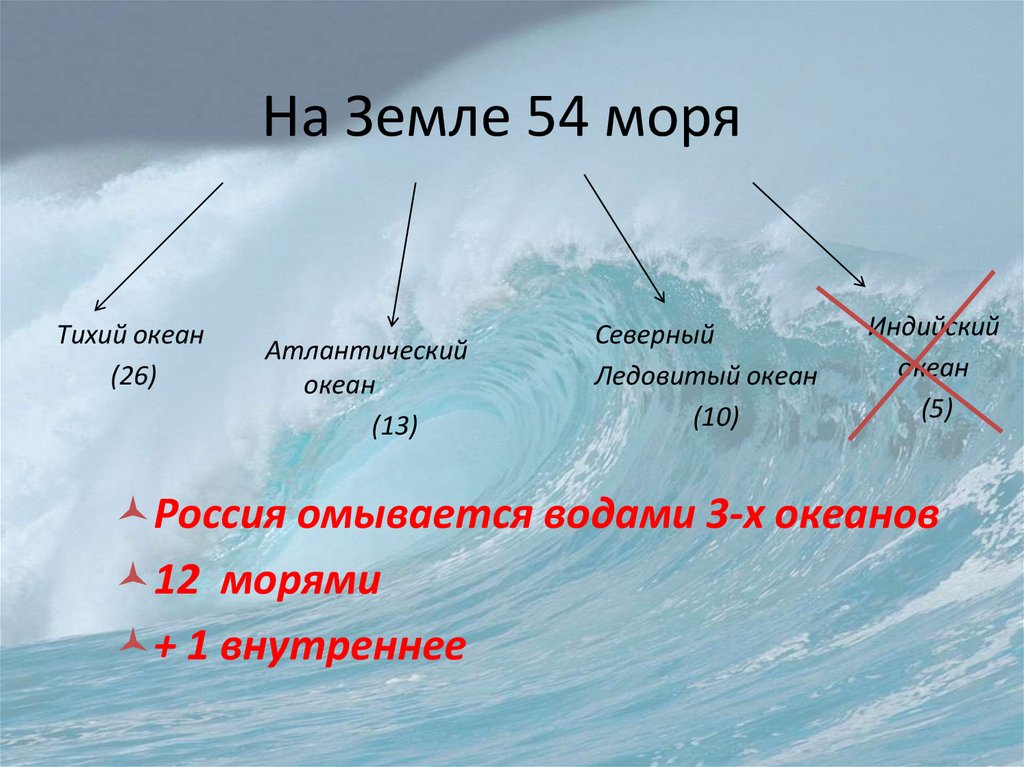 Пользуясь рисунком 139 назовите моря омывающие берега нашей страны