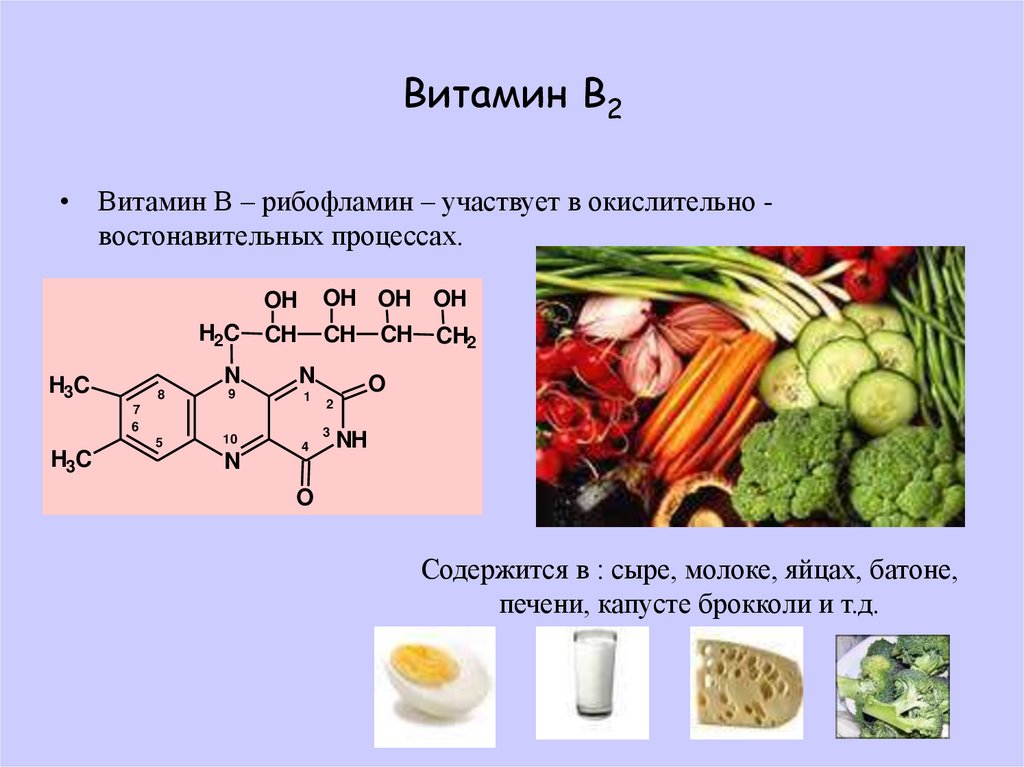 Витамин в2 проект