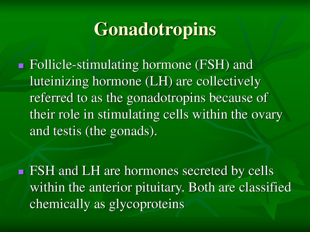 Gonadotropins
