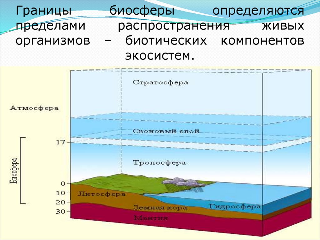 Верхняя граница в атмосфере определяется высотой. Границы биосферы. Granisi biosferi. Биосфера границы биосферы. Границы распространения биосферы.
