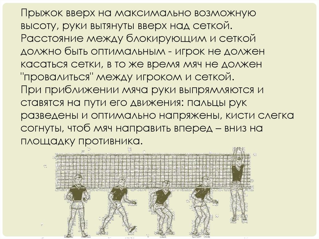 Что запрещено блокировать в волейболе