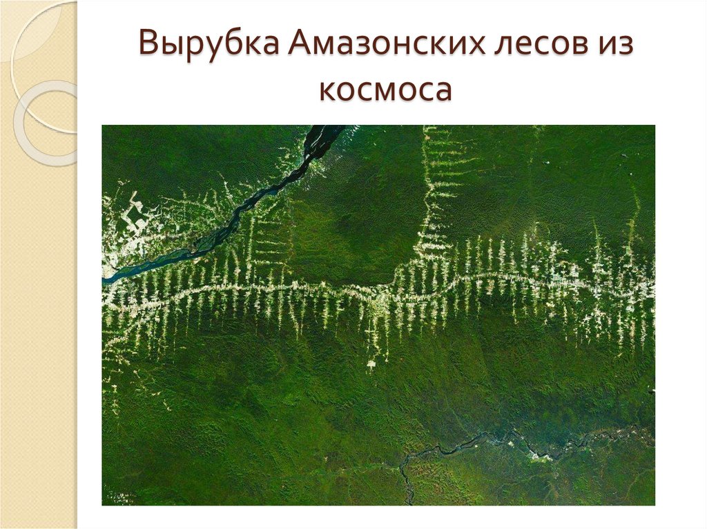 Вырубка Амазонских лесов из космоса