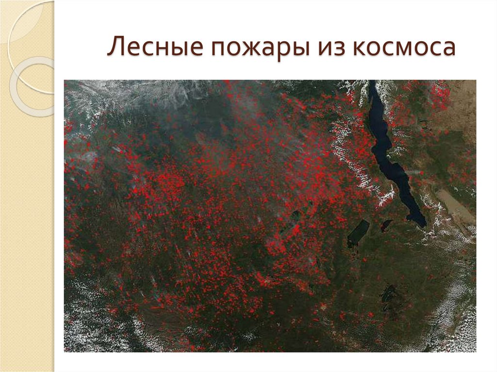 Лесные пожары из космоса