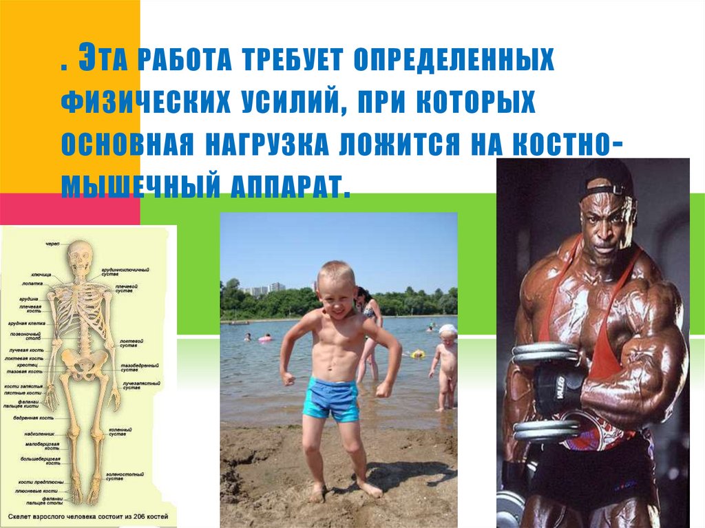 . Эта работа требует определенных физических усилий, при которых основная нагрузка ложится на костно-мышечный аппарат.  