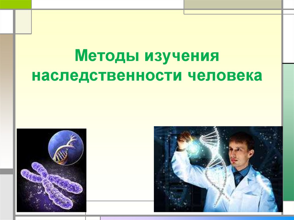 Методы изучения наследственности и изменчивости человека в норме и патологии презентация