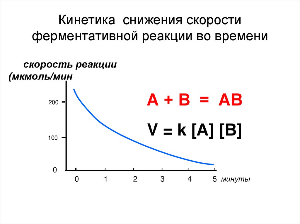 Скорость снижения веса