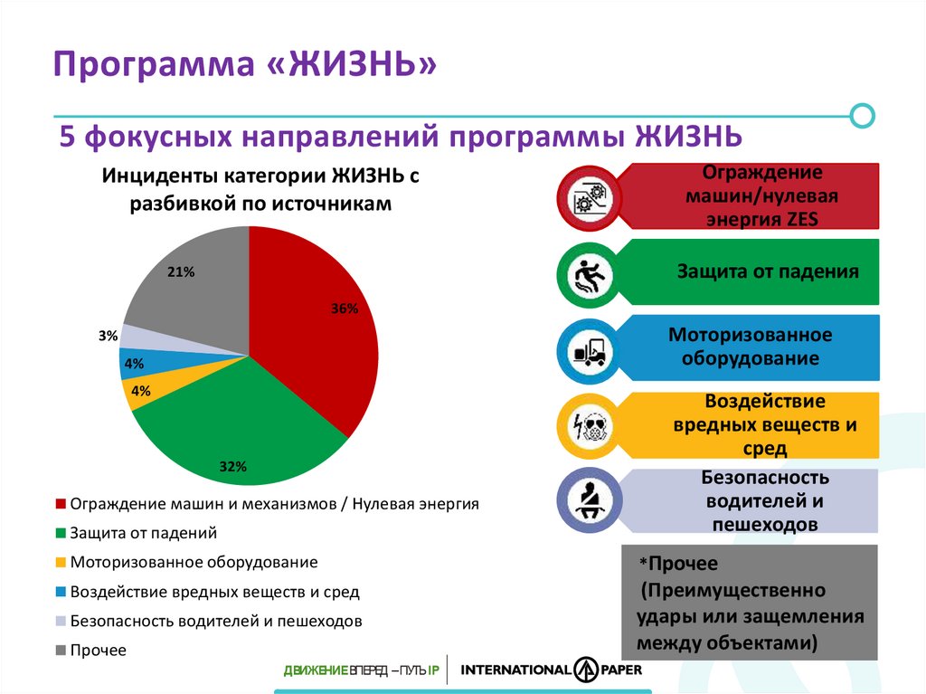 Программа жизнь