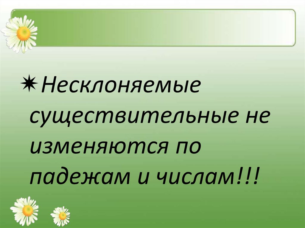 Презентация на тему несклоняемые имена существительные 6 класс