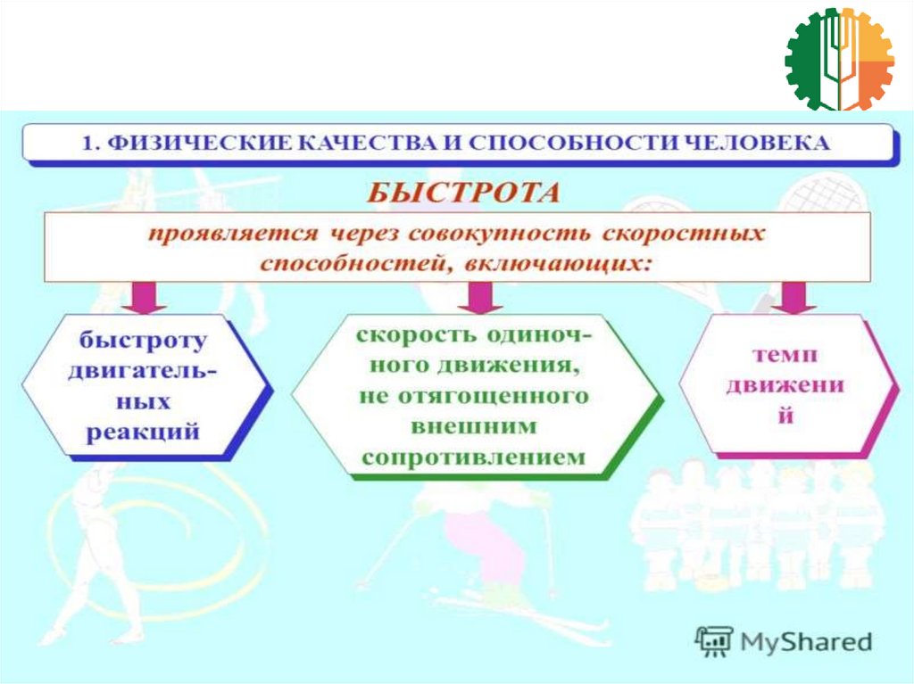 Развитие необходимых физических качеств