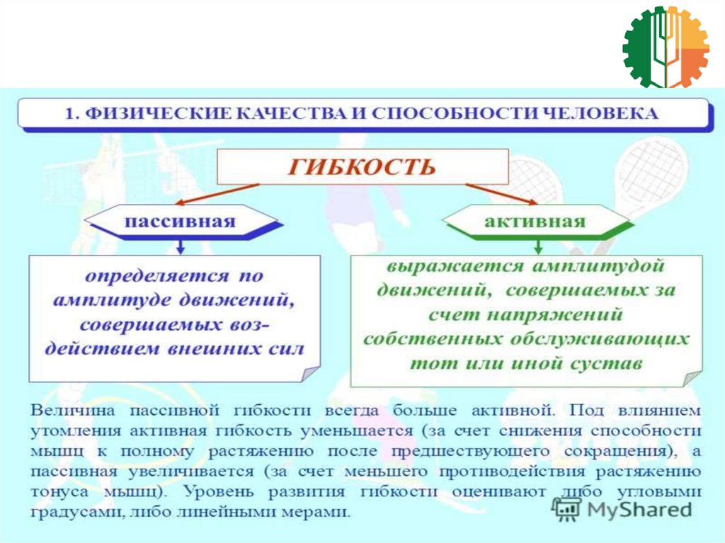 Физические качества человека это. Характеристика основных физических качеств. Физические качества личности. Перечислите основные физические качества. Физические качества и способы их развития.