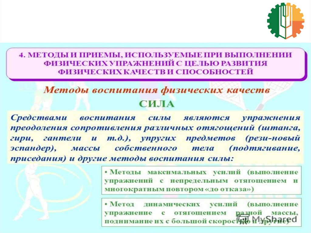 Развитие основных физических качеств