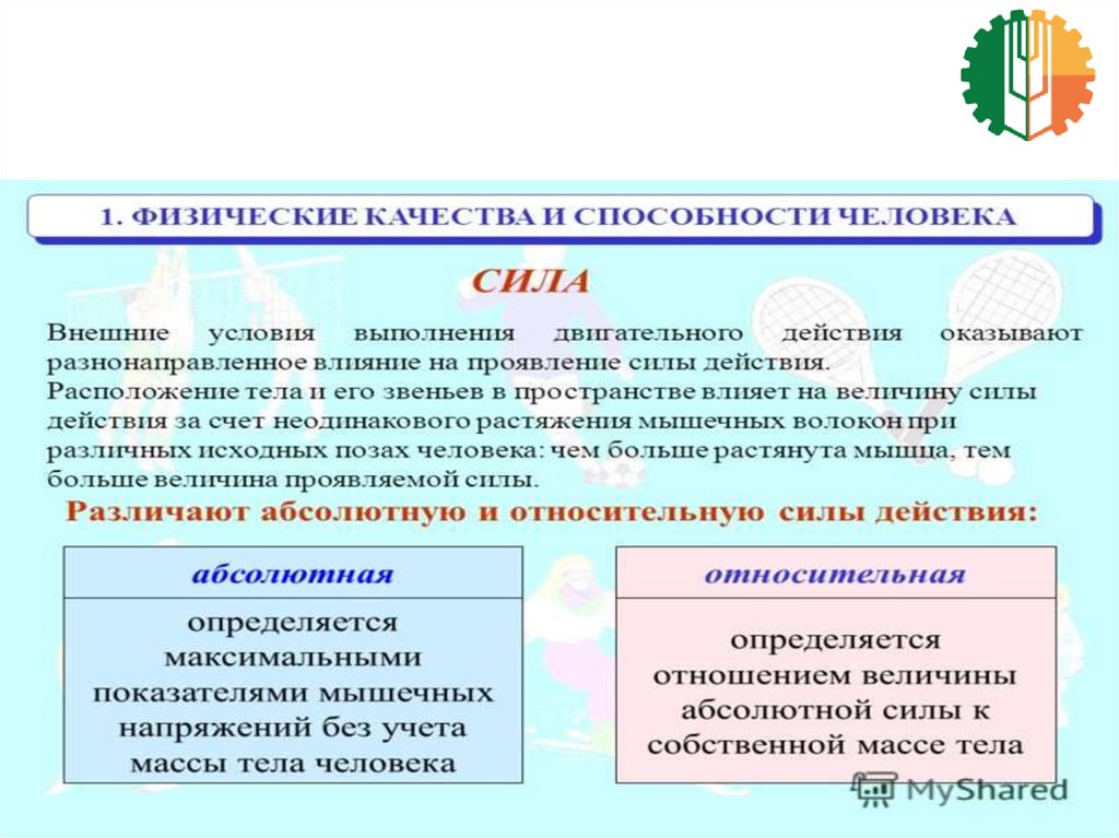 Физические качества это. Характеристика основных физических качеств. Основные физические качества. Физические качества примеры. Пять физических качеств.