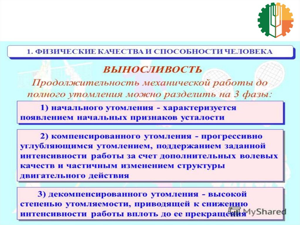 Определите физическое качество. Основные физические качества. Физические качества человека. Перечислите основные физические качества. Пять основных физических качеств человека.