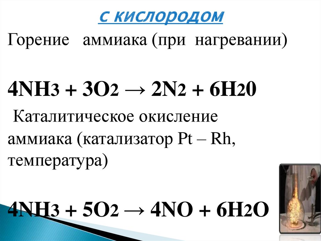 Запишите реакцию кислорода с азотом. N2 h2 катализатор pt. Горение аммиака реакция. Nh3 o2 горение. Горение аммиака в кислороде уравнение.