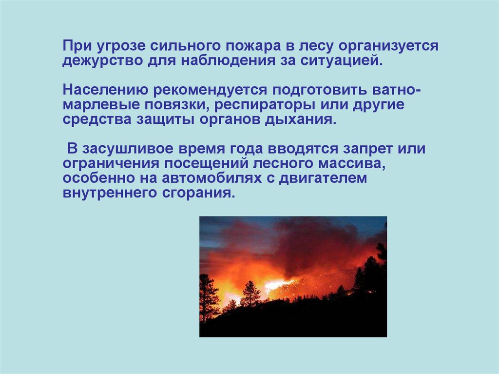 Пожары в лесу доклад. Составьте план действий если вы оказались в лесу вблизи очага пожара. Пожар для презентации. Доклад про пожар.